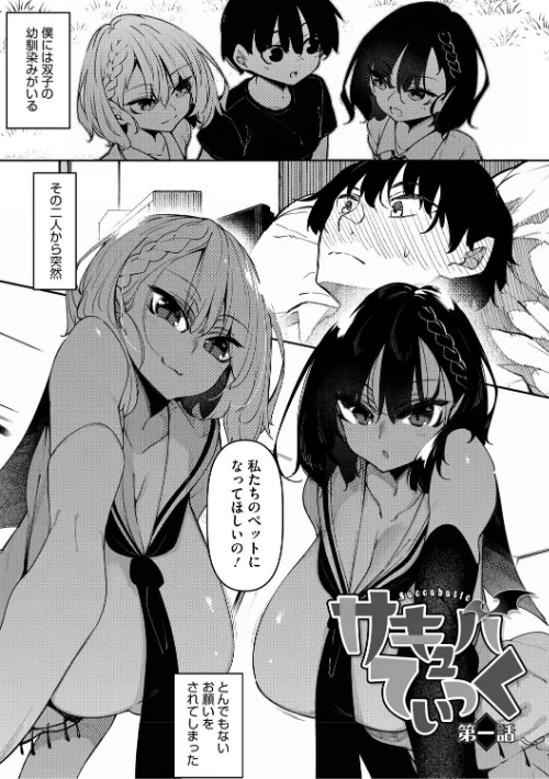 {エロ漫画}サキュバてぃっく【単行本】/制作:復八磨直兎/ 試し読みサンプル 3ページ目