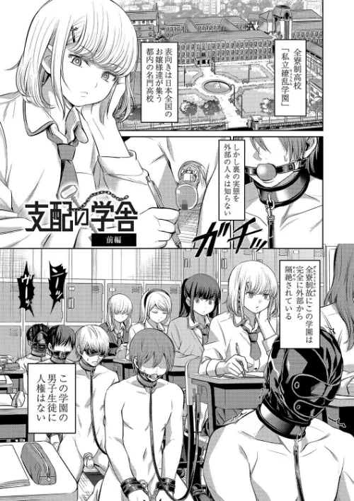 {エロ漫画}ざ・ふぃめーる・どみねーしょん【デジタル特装版】/制作：山畑璃杏 COMIC快艶編集部/ 試し読みサンプル 5ページ目