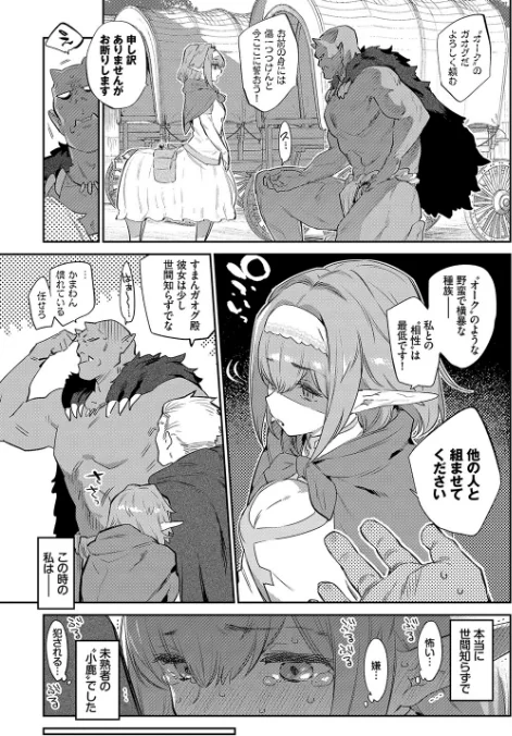 {エロ漫画}異邦ノ乙女【FANZA限定】【デジタル特装版】/制作:みぞね コミックバベル編集部/ 試し読みサンプル 5ページ目