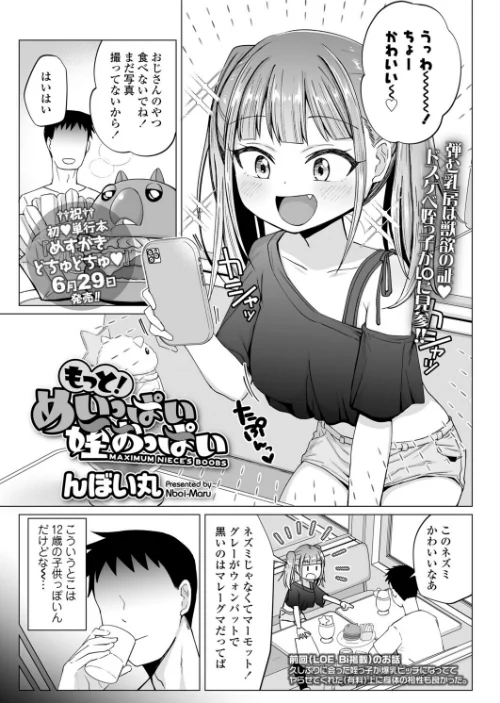 {エロ漫画}もっと!めいっぱい姪おっぱい(単話)/制作:んぼい丸/ 試し読みサンプル 2ページ目